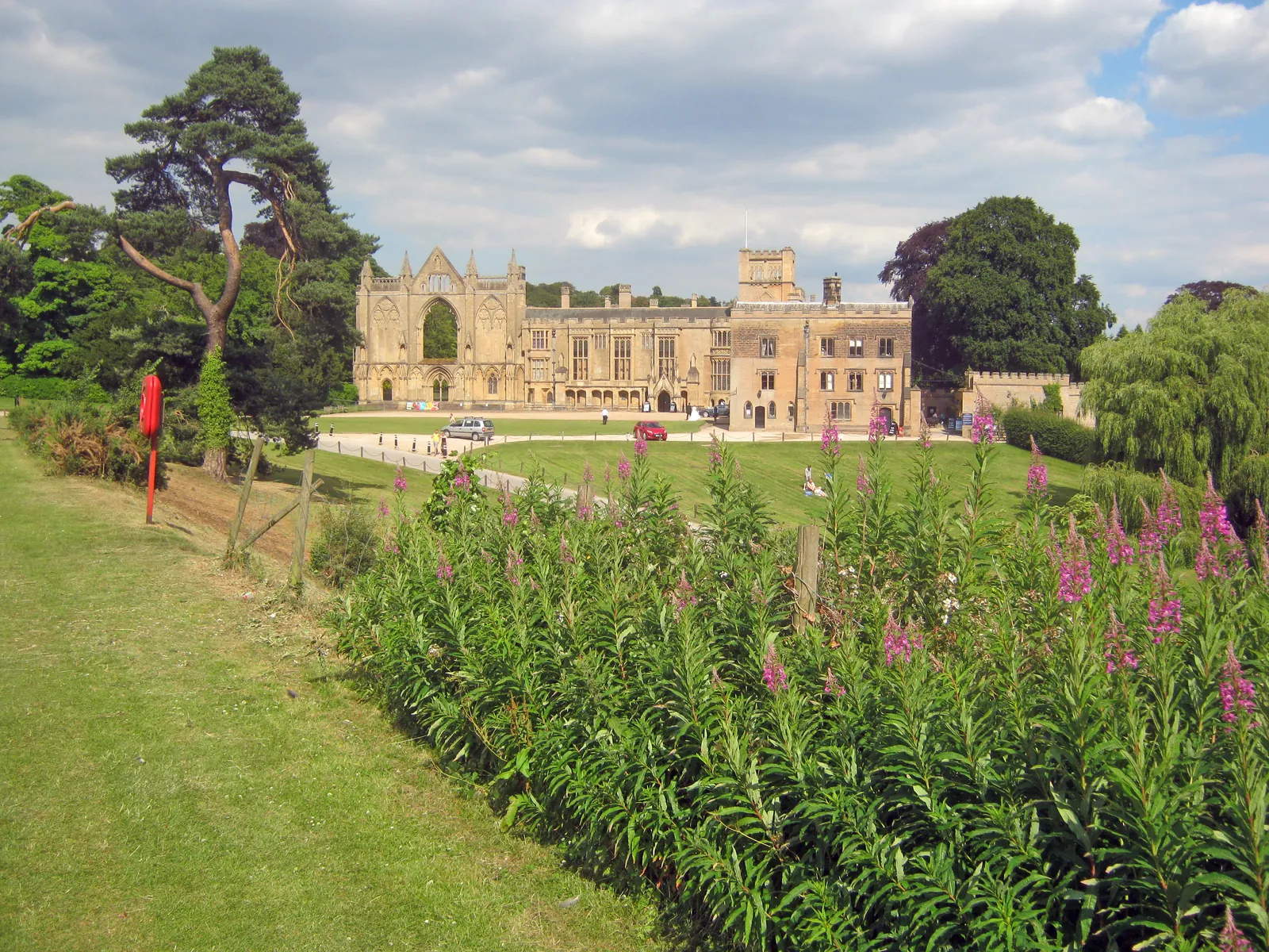 Newstead Abbey across its lawns, with pink willowherb in the foreground