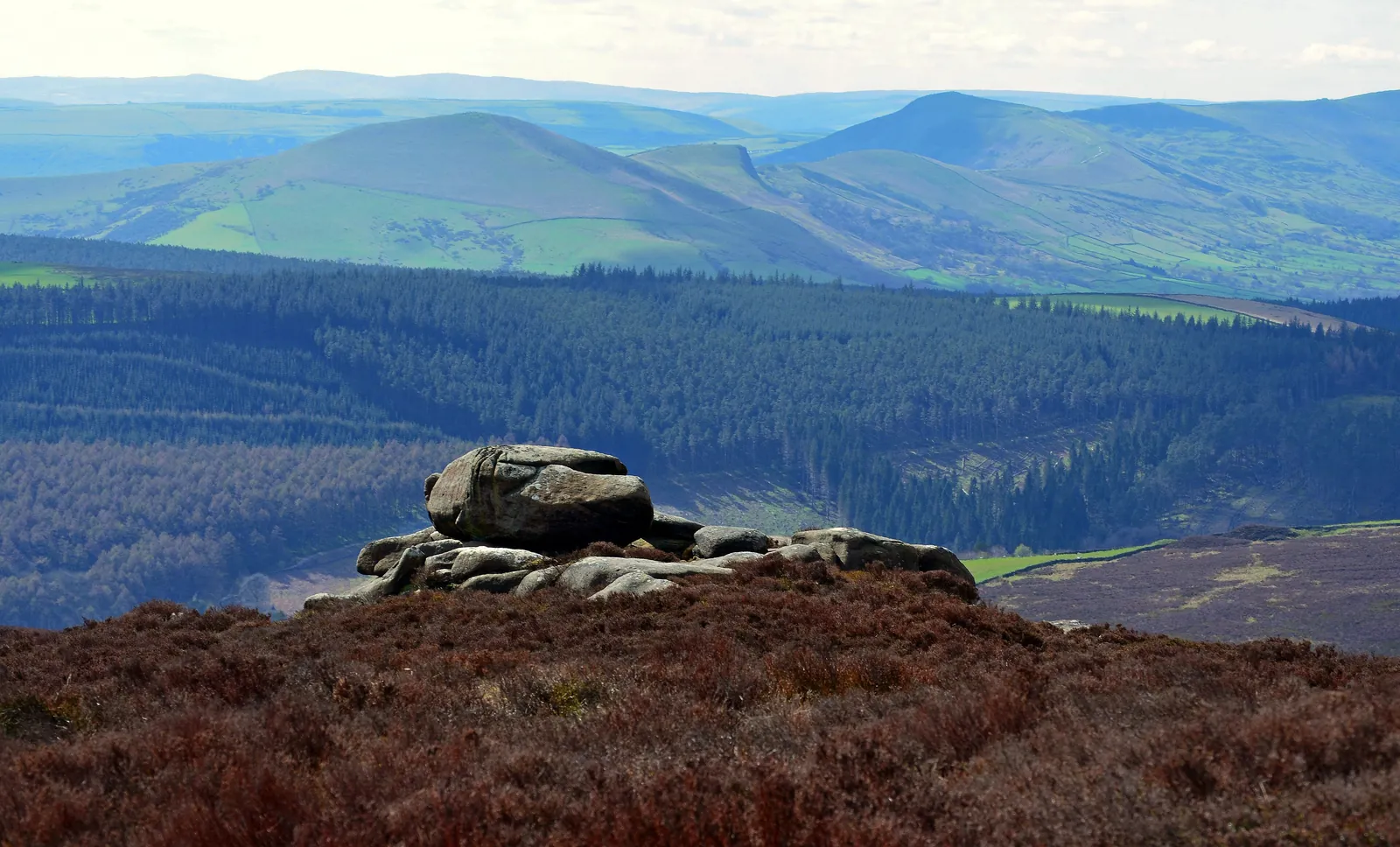 Gritstone rocks on heather moorland above a forest, looking across to the Great Ridge and Mam Tor
